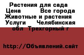 Растения для сада › Цена ­ 200 - Все города Животные и растения » Услуги   . Челябинская обл.,Трехгорный г.